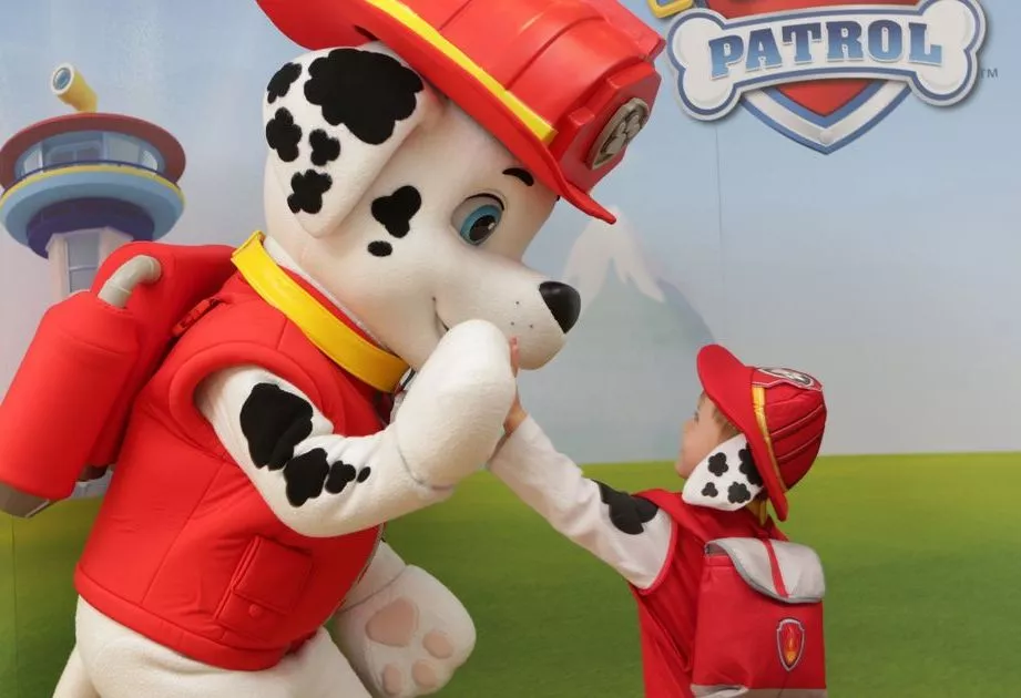 Герои Щенячий патруль - Paw Patrol