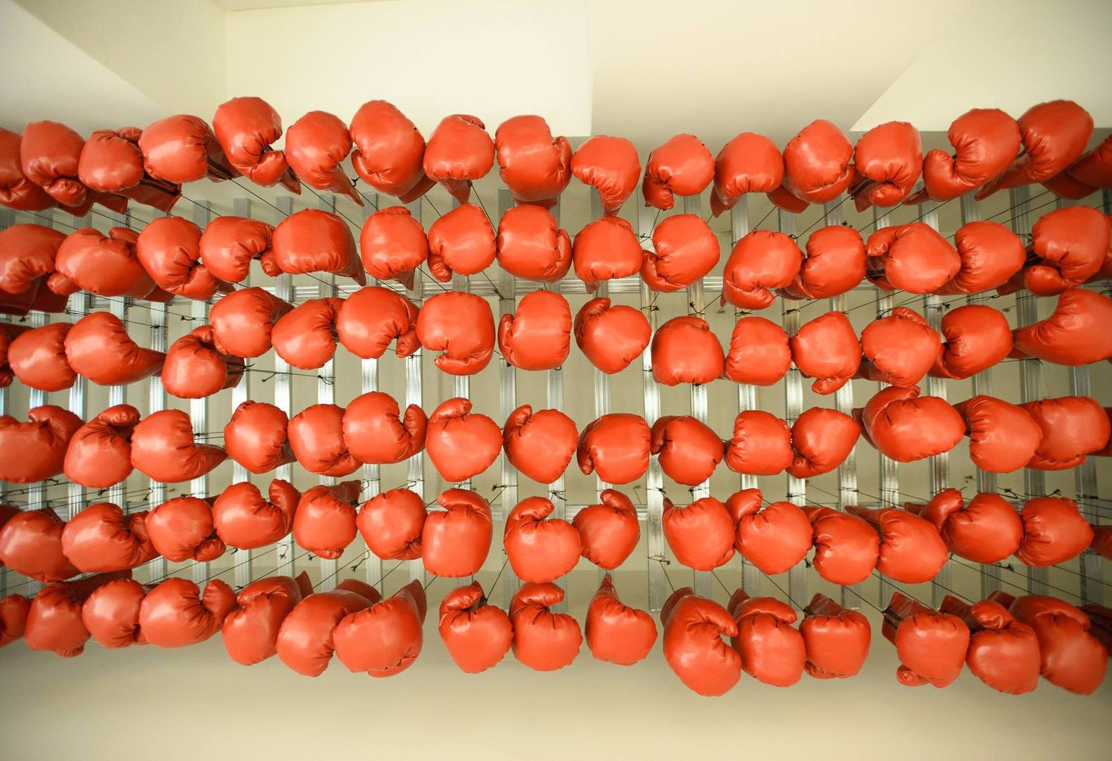 null «Go Boxing» – фото №5