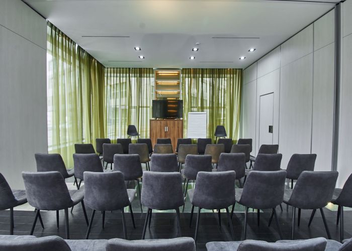 Конференц-зал «Зал на первом этаже особняка (DOM25)» – фото №4