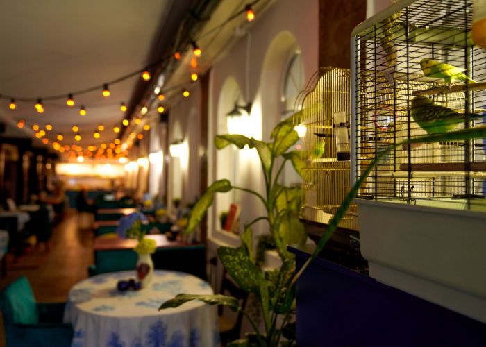 Ресторан, банкетный зал «Индийский Сад с тропическими растениями» – фото №4