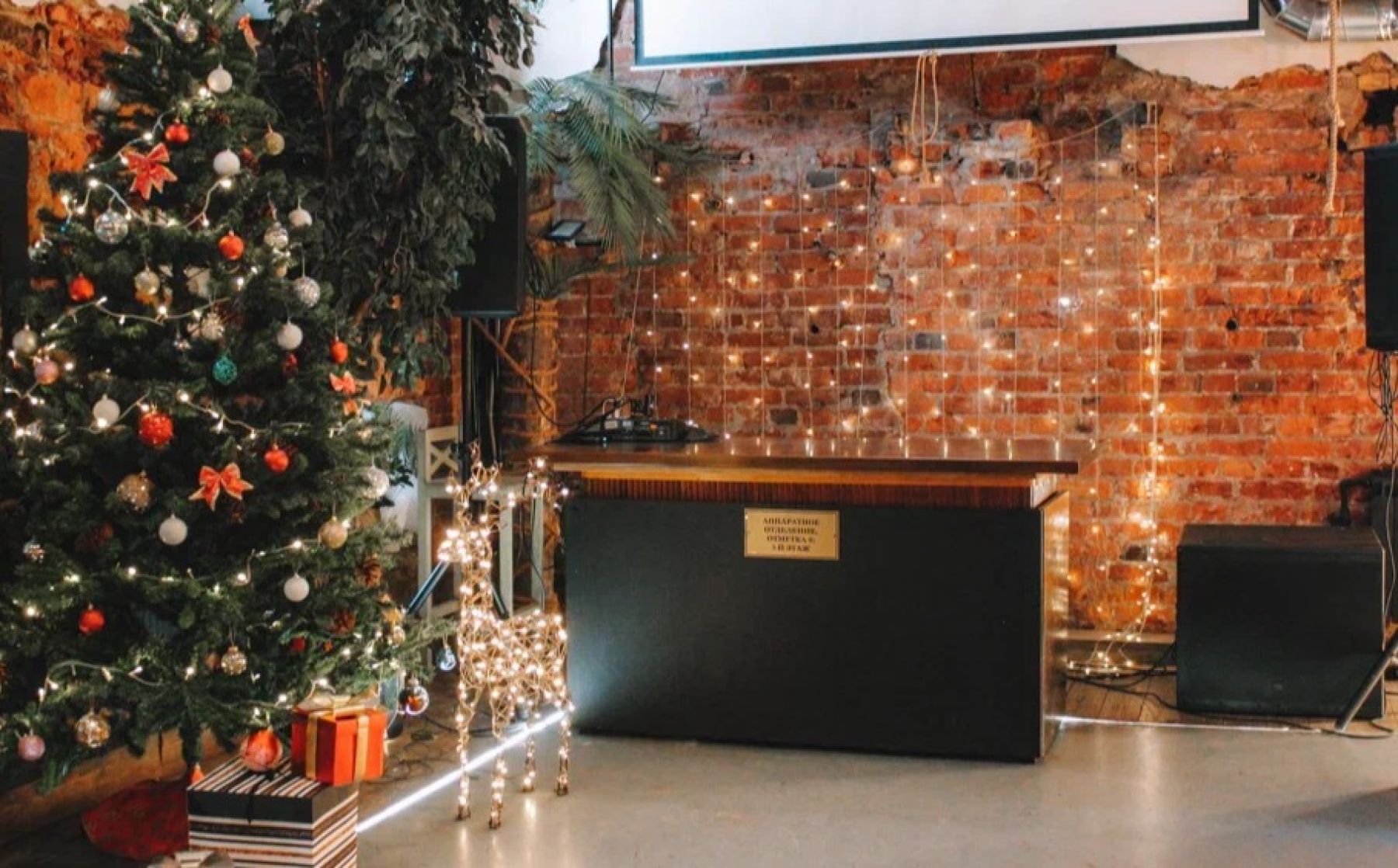 Фото Лофт «Hawaii House» – смотри на сайте!