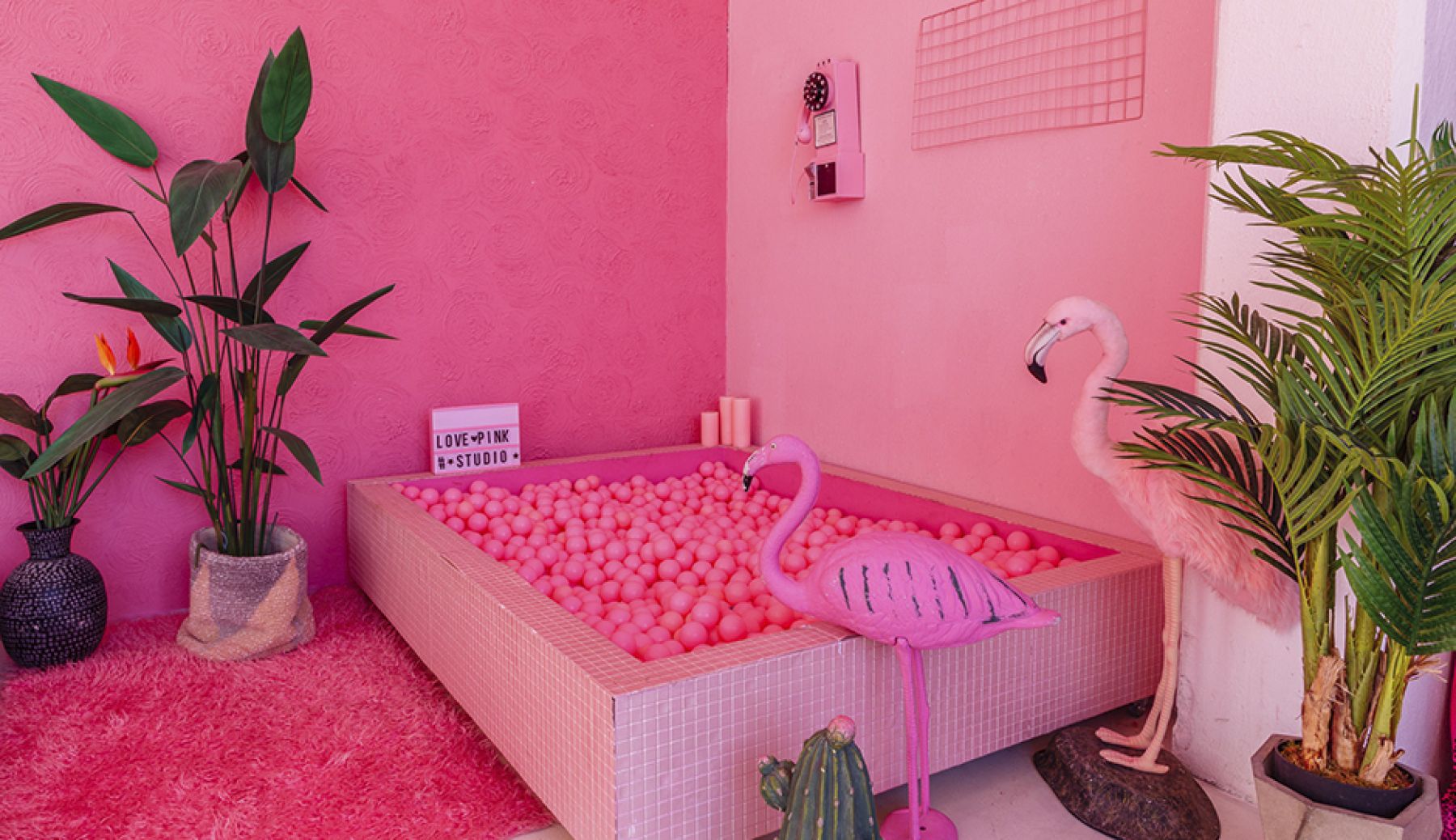 Студия «PINK PHOTOSTUDIO LOFT» – фото №3