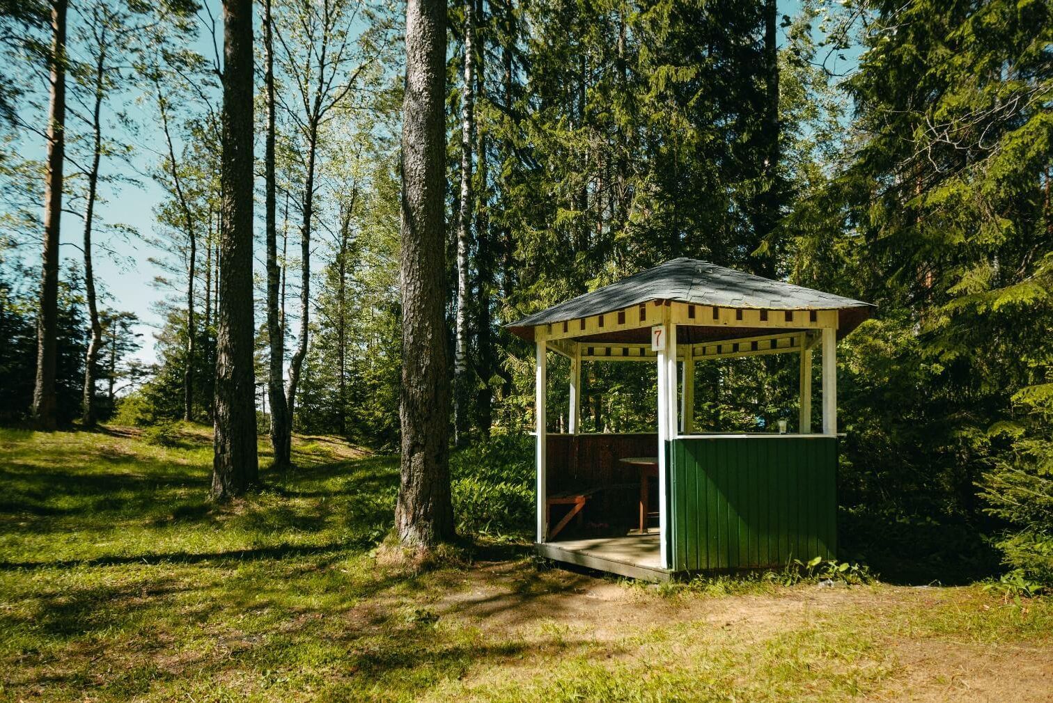 Фото Беседка «Аренда беседки на 8 человек в лесной зоне» – смотри на сайте!