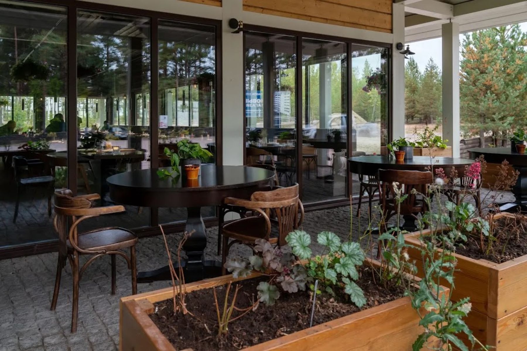 Ресторан, банкетный зал «Аренда ресторана «Лес» в Санкт-Петербурге» – фото №4