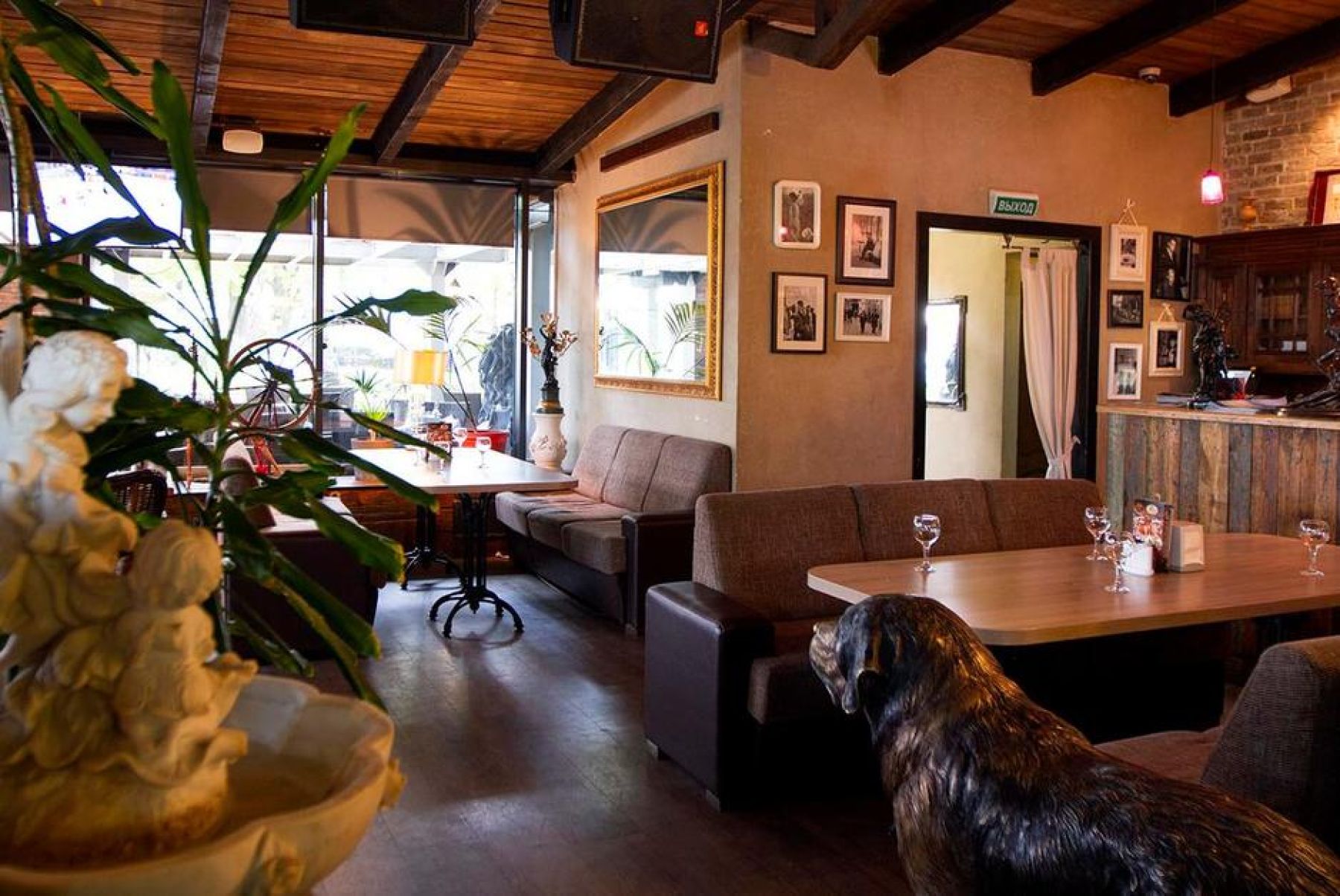 Фото Ресторан, банкетный зал «Аренда ресторана «Алые паруса» в Санкт-Петербурге» – смотри на сайте!