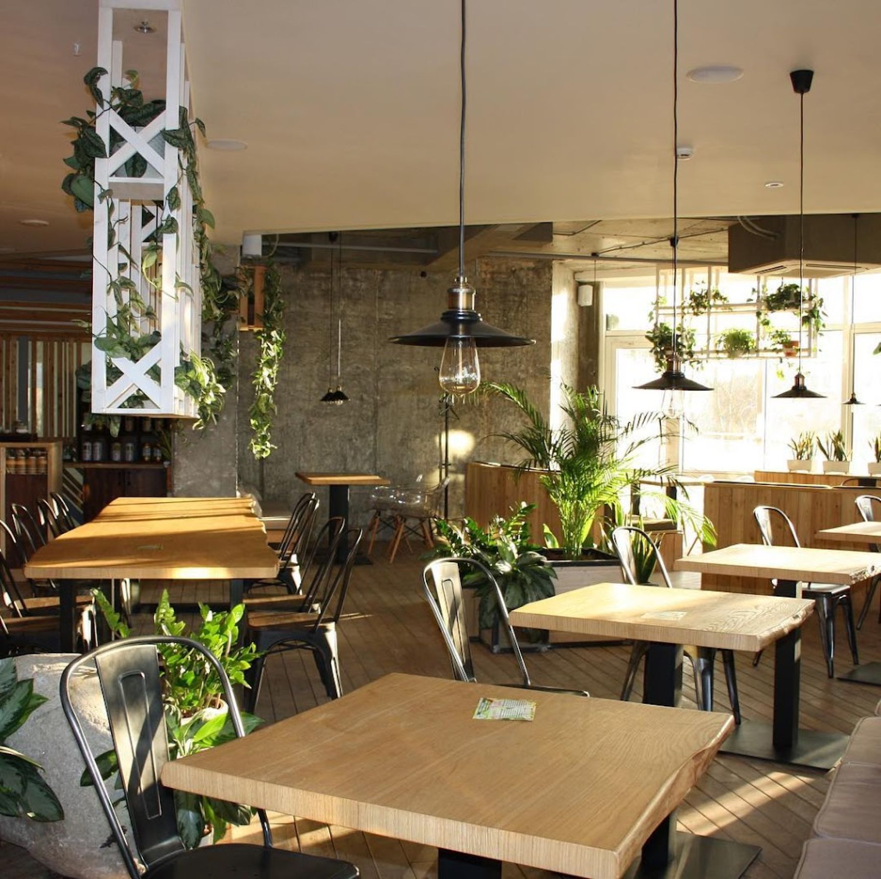 Ресторан, банкетный зал «Аренда Green Cafe в Ростове-на-Дону» – фото №4